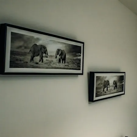 Lägenhet Bv Cosy Basement At Conditioning House Bradford (West Yorkshire)