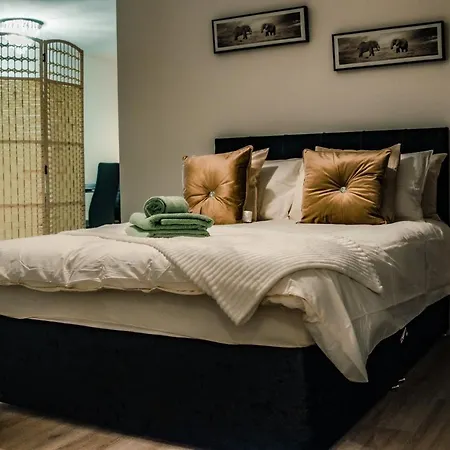 Bv Cosy Basement At Conditioning House *