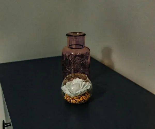 公寓 Bv Cosy Basement At Conditioning House *