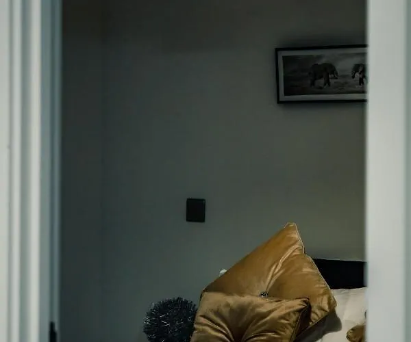 Bv Cosy Basement At Conditioning House *