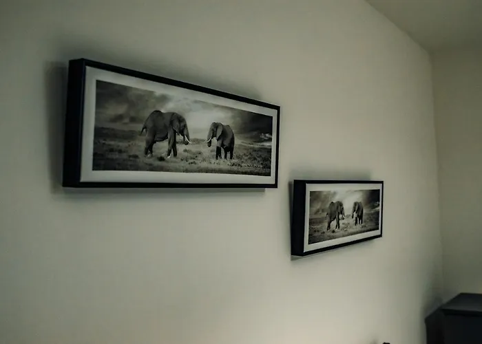 Lägenhet Bv Cosy Basement At Conditioning House Bradford (West Yorkshire)