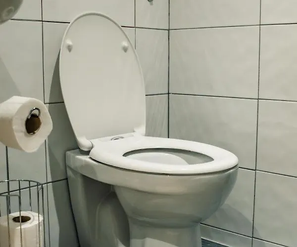 Bv Cosy Basement At Conditioning House *